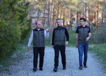 Erzincan’da orman projeleri incelendi