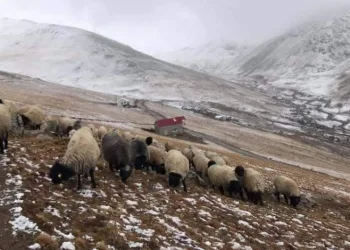 300 yıllık kullanıma müdahale tepki çekti