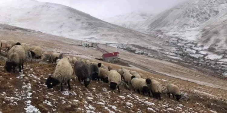300 yıllık kullanıma müdahale tepki çekti
