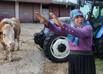 Kozan’daki selde hayvanları telef olan kadın: “Bir anda sel geldi, ahırın üstünü aştı”