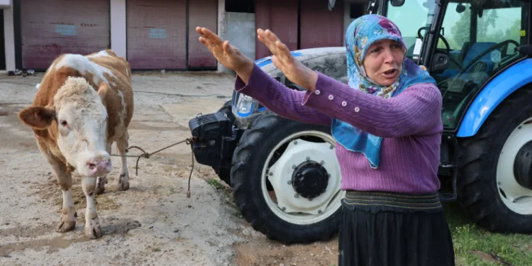 Kozan’daki selde hayvanları telef olan kadın: “Bir anda sel geldi, ahırın üstünü aştı”