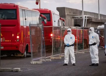 Hantavirüs Salgınında Korkunç İhmal: Nadir Kuş Sevdası Dünyayı Alarm Durumuna Geçirdi