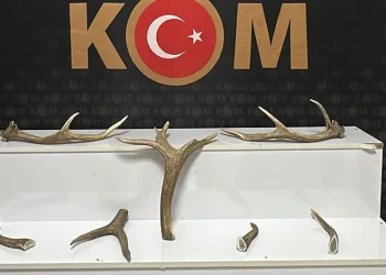 Erbaa’da şampiyonluk kutlamasında havaya ateş açan şüpheli yakalandı