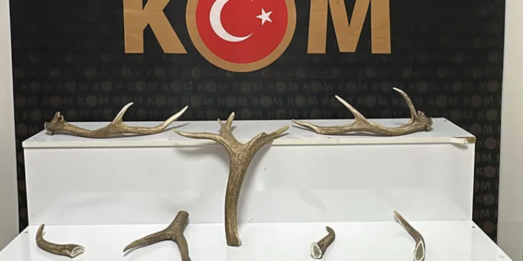Erbaa’da şampiyonluk kutlamasında havaya ateş açan şüpheli yakalandı