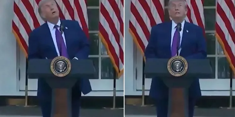 Trump’ın “Kuş” Paniği: “Onu Dron Sandım, Çok Yıkıcı Olabilirler”