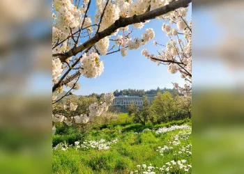 Mudanya Üniversitesi’ne 6 yeni bölüm daha