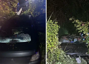Gemlik’te işgal edilen otopark ve tuvaletlere kaymakamlık müdahalesi