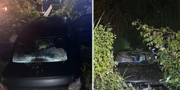 Gemlik’te işgal edilen otopark ve tuvaletlere kaymakamlık müdahalesi