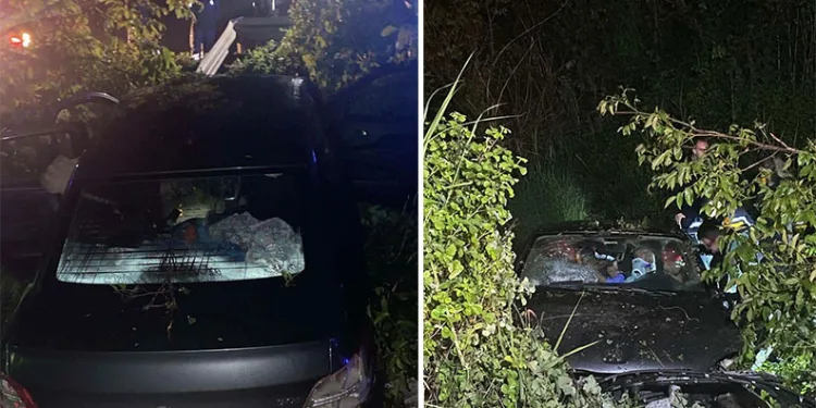 Gemlik’te işgal edilen otopark ve tuvaletlere kaymakamlık müdahalesi