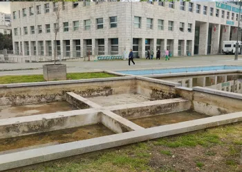 İnegöl’den dünyaya uzanan şampiyonluklar hikayesi