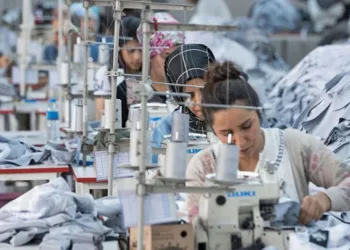Türkiye Sınırında Dev Ekonomi Hamlesi: 250 Bin İstihdam ve 5 Milyar Dolarlık İhracat Üssü