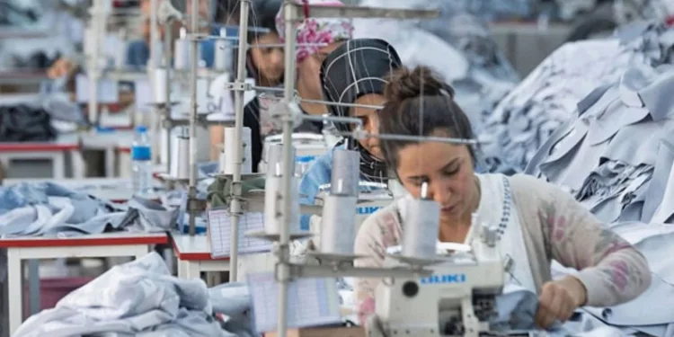Türkiye Sınırında Dev Ekonomi Hamlesi: 250 Bin İstihdam ve 5 Milyar Dolarlık İhracat Üssü