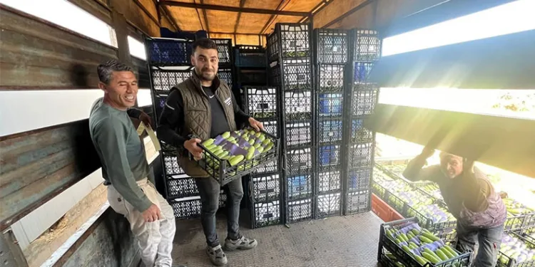 Şehir dışına bile çıkmayan araca, İstanbul’dan otoban cezası ve icra şoku