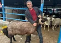 Bursa’daki kurbanlık pazarında hareketlilik