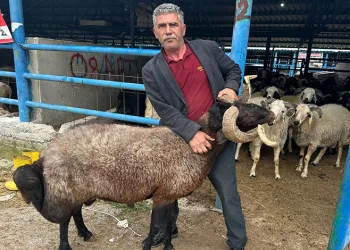 Bursa’daki kurbanlık pazarında hareketlilik