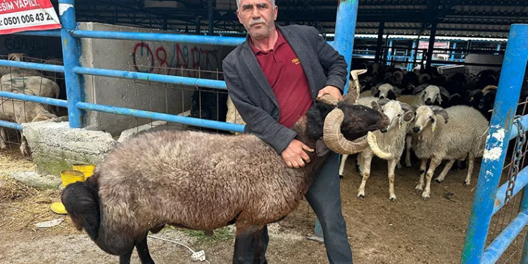 Bursa’daki kurbanlık pazarında hareketlilik