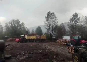 Orman işçilerinin yakınına yıldırım düştü, o anlar korkuya neden oldu