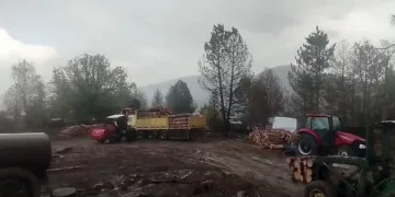 Orman işçilerinin yakınına yıldırım düştü, o anlar korkuya neden oldu