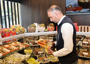 Efkan Ala’dan CHP’ye Sert Eleştiri: “Muhalefetin İçi Orta Doğu Kadar Karışık”