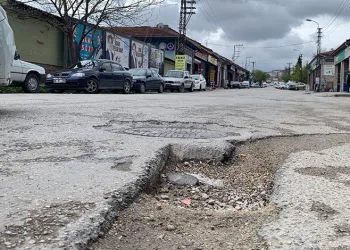 Çiftlikte doğan kuzu paylaşılamadı: İki anne bir yavru
