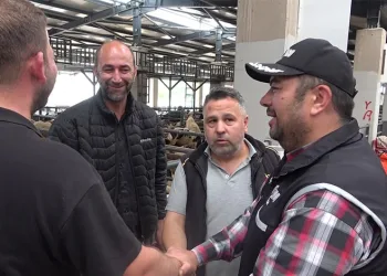 Kurban pazarında güldüren anlar…Mali Polis çetin pazarlığa dahil oldu