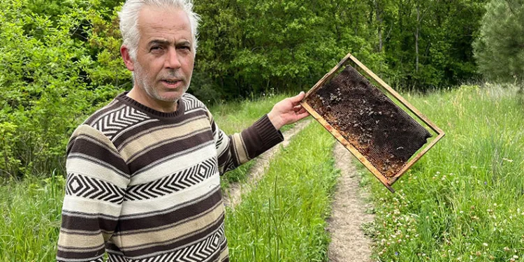 Bursa’da feci kaza: 2 yaralı