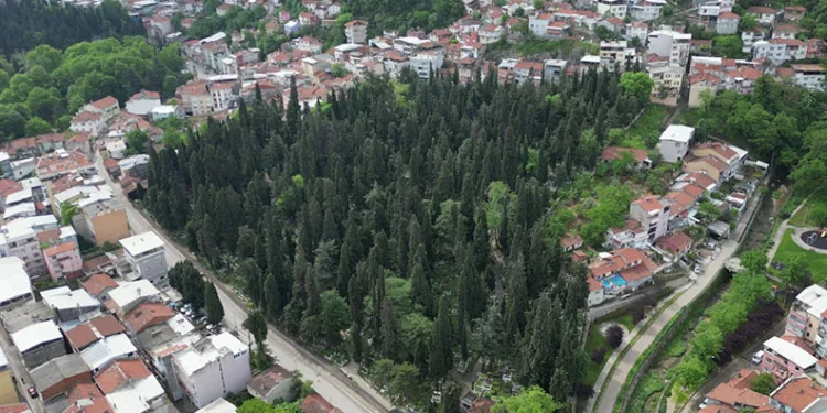 Bursa’da mesire alanı bir günde çöplüğe döndü