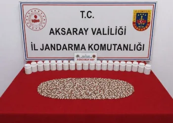 Bilecik’te Hıdırellez Şenlikleri’nde 80 personelle güvenlik tedbiri alındı