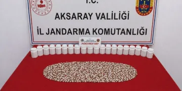 Bilecik’te Hıdırellez Şenlikleri’nde 80 personelle güvenlik tedbiri alındı