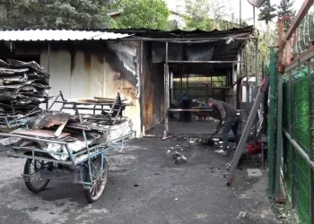 Samandağ’da şarampole devrilen otomobilin sürücüsü yaralandı