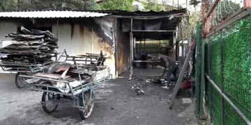 Samandağ’da şarampole devrilen otomobilin sürücüsü yaralandı