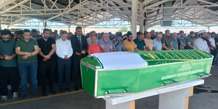 Ordu’da jandarma 31 şüpheliyi yakaladı: 19 tutuklama