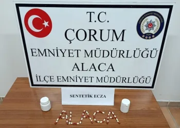 Ordu’da jandarma 31 şüpheliyi yakaladı: 19 tutuklama