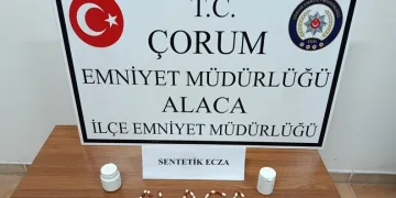 Ordu’da jandarma 31 şüpheliyi yakaladı: 19 tutuklama