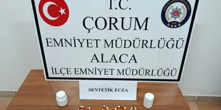 Ordu’da jandarma 31 şüpheliyi yakaladı: 19 tutuklama