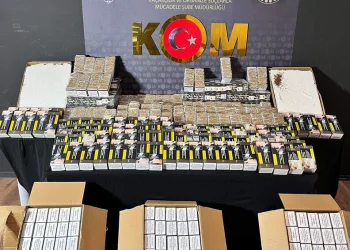 Ordu’da jandarma 31 şüpheliyi yakaladı: 19 tutuklama