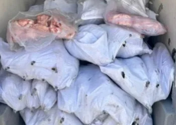 Kamyonun altına giren otomobildeki anne öldü, oğlu ağır yaralandı