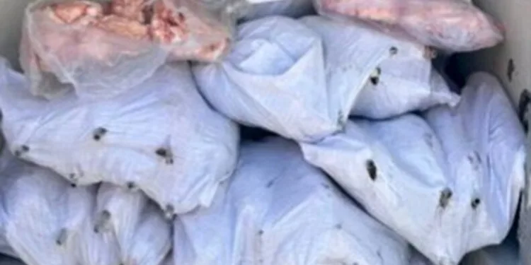 Kamyonun altına giren otomobildeki anne öldü, oğlu ağır yaralandı