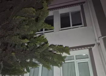 Anneler Günü’nde 80 yaşındaki annesini darp etti