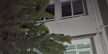 Anneler Günü’nde 80 yaşındaki annesini darp etti