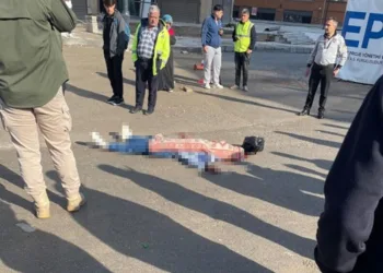 Anneler Günü’nde 80 yaşındaki annesini darp etti