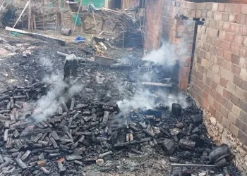 Anneler Günü’nde 80 yaşındaki annesini darp etti