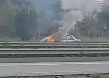 Anneler Günü’nde 80 yaşındaki annesini darp etti