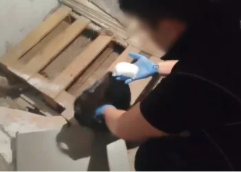 Fındık bahçesinden uçuruma düşen adam hayatını kaybetti