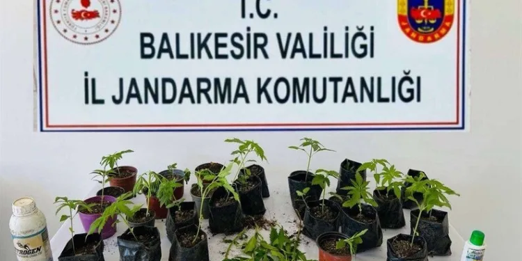 4’üncü kez alkollü yakalandı, “Beni reklam yapacaksın” diyerek sitem etti