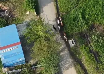 4’üncü kez alkollü yakalandı, “Beni reklam yapacaksın” diyerek sitem etti