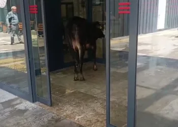 Sele kapılarak hayatını kaybeden vatandaş son yolculuğuna uğurlandı