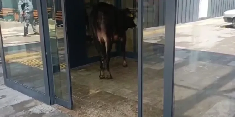Sele kapılarak hayatını kaybeden vatandaş son yolculuğuna uğurlandı