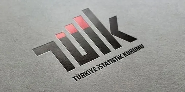 Bakım sorumluluğu olanların 18-74 yaş nüfus içindeki oranı yüzde 43,1 oldu