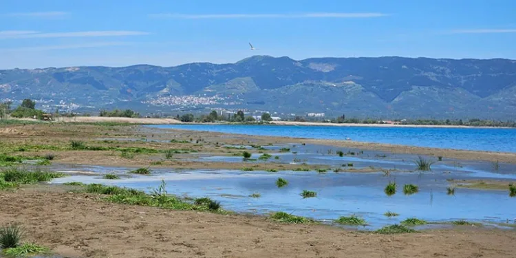 İznik Gölü’nde Sular Geri Çekiliyor: Tehlike Büyüyor
